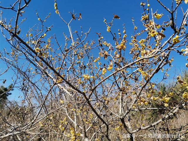 ‘熊猫体育’从经济发展的视角看环境保护40年(图3) xiongmao体育