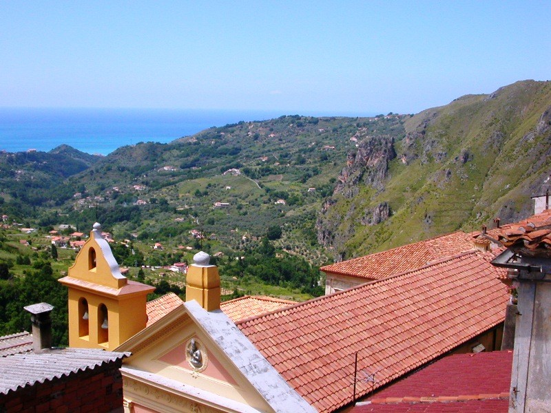 曝光台：河南洛阳，陕西渭南企业（单位）存环境问题-panda sports